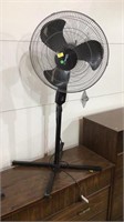 Fan