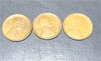Lot of 3 1909-VDB Wheat Cents