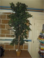 5' 10" Artifical Ficus Tree