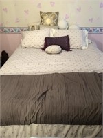 Queen Steel frame and box spring with pillows and