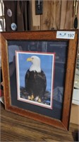 Framed sitting Eagle