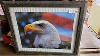 Framed Eagle Head Art