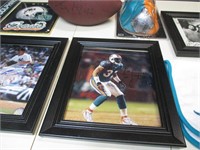MIAMI DOLPHINS COLLECTABLES