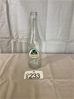 Jarritos Glass Bottle