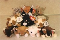 Lot of 10 Assorted Beanie Babies