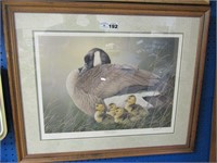 Wetland Treasure' Duck Print