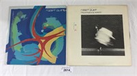 2 pcs. Record Albums - Robert Plant