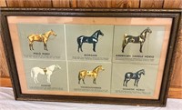 Vintage Framed Horse Pictures