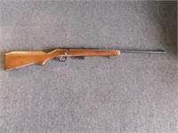 .22 Rifle