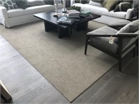 AREA RUG