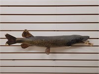 Full Body Pike Mount, One Fore Fin Off But Present