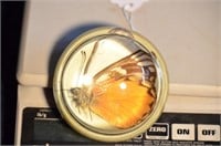 Orange Butterfly Paperweight
