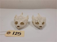 2x the Bid Large  Snapping Turtle Skull