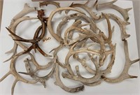 Box of Antlers Weighing 15lbs