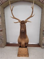 6 x 6 Elk Shoulder Mount Pedestal Mount