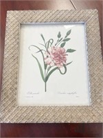 Framed Floral Artwork