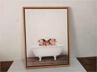 3 Piglets In A Tub Canvas Print