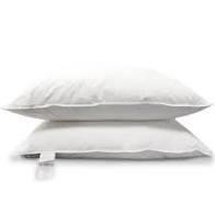Heidi Down Blend Plush Support Pillow SET OF 2