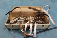 Cattle Show Halters w/ Suitcase