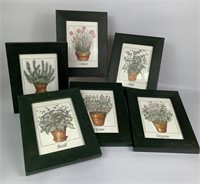 Framed Herbal Prints