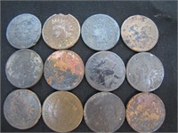 12 Assorted Indian Head Pennies