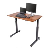 48" Electric Stand Up Desk