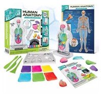 Epic Lab Human Anatomy Clay Body Science Kit