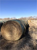 10 Big Round Bales of 1st Cutting Alfalfa Hay