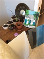 Plants and Paintings