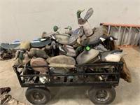 DUCK DECOYS - ONLY