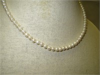 JCM 10KT Gold Clasp Pearl Necklace
