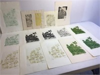 Group of Woodblock & Line Etching Prints