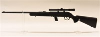 Savage Model 62 .22 LR Semi-Automatic Rifle