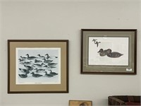 Two Framed Mason Duck Decoy Prints