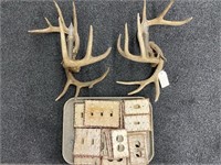 Pair of Antler Wall Sconces & Switch Plate Covers