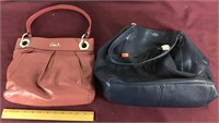 coach purse, leather Vince Camuto New York Purse