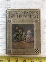 Flower-fairies of the spring book