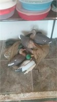 Large group of duck decoys