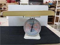 American Family Nursery Scale