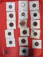 16 indian head pennies