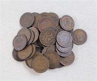 Lot of 50 indian head pennies