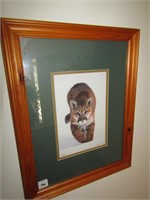 Framed "Lion in the Winter" Photograph signed