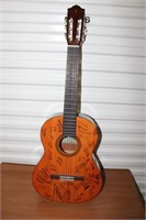 aucustic guitar