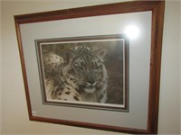 Framed "Snow Leopard" signed Carl Brenders 1937