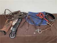 horse tack. bridle, halter, sinches and more