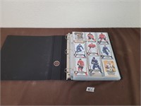 Hockey cards (large binder)