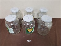6x 4L pickel jars