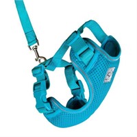 New Teal Cat Harness with Leash -RC Pets-Small