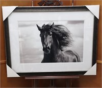 Breath of Life Dark Horse Framed Print