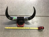 Horn and hood mount